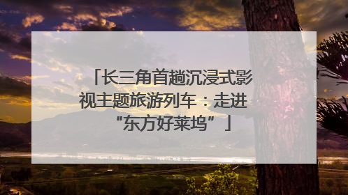 长三角首趟沉浸式影视主题旅游列车：走进“东方好莱坞”