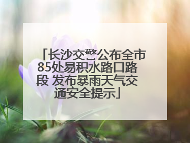 长沙交警公布全市85处易积水路口路段 发布暴雨天气交通安全提示
