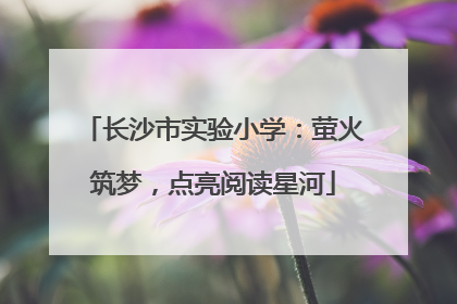 长沙市实验小学：萤火筑梦，点亮阅读星河