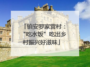 镇安罗家营村：“吃水饭”吃出乡村振兴好滋味