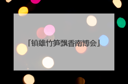 镇雄竹笋飘香南博会