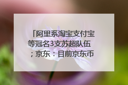 阿里系淘宝支付宝等冠名3支苏超队伍；京东：目前京东币链科技并没有开始发行稳定币｜早资道