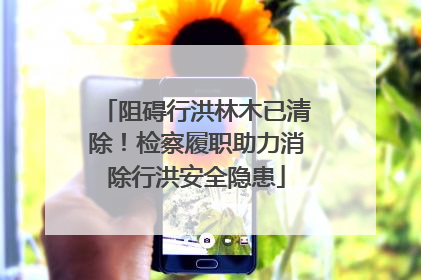 阻碍行洪林木已清除！检察履职助力消除行洪安全隐患
