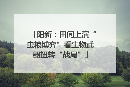 阳新：田间上演“虫粮博弈”看生物武器扭转“战局”