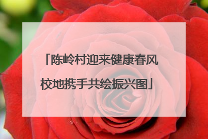 陈岭村迎来健康春风 校地携手共绘振兴图