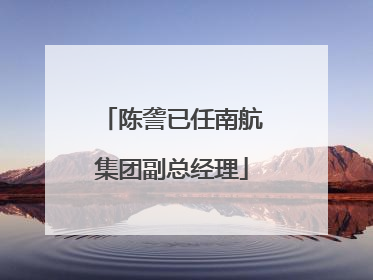 陈詟已任南航集团副总经理