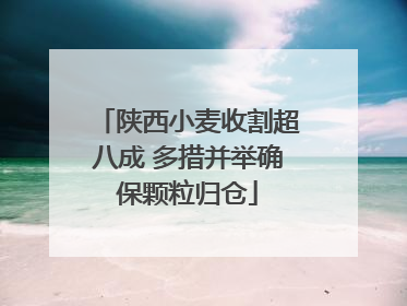 陕西小麦收割超八成 多措并举确保颗粒归仓