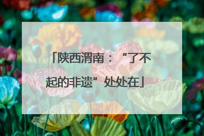 陕西渭南：“了不起的非遗”处处在