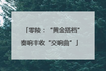 零陵：“黄金搭档”奏响丰收“交响曲”