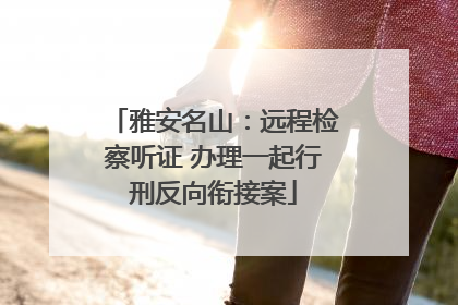 雅安名山：远程检察听证 办理一起行刑反向衔接案
