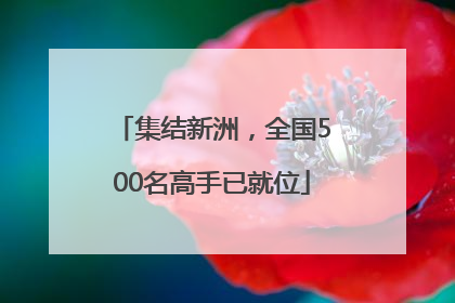 集结新洲，全国500名高手已就位