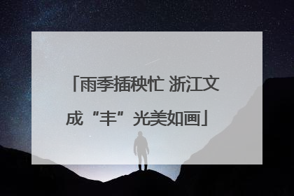雨季插秧忙 浙江文成“丰”光美如画