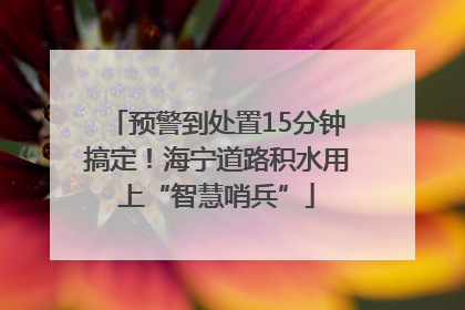 预警到处置15分钟搞定！海宁道路积水用上“智慧哨兵”