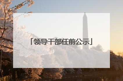 领导干部任前公示