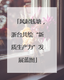 风起钱塘，浙台共绘“新质生产力”发展蓝图