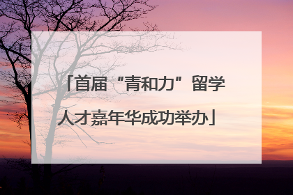 首届“青和力”留学人才嘉年华成功举办