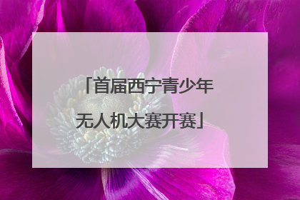 首届西宁青少年无人机大赛开赛