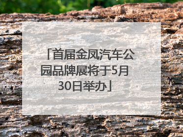 首届金凤汽车公园品牌展将于5月30日举办