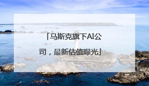 马斯克旗下AI公司，最新估值曝光