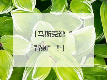 马斯克遭“背刺”！