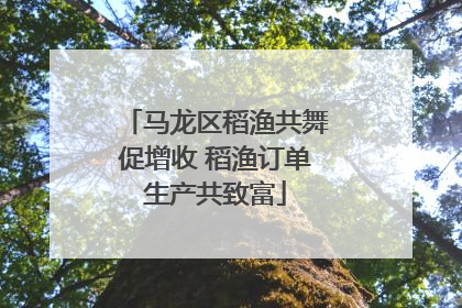 马龙区稻渔共舞促增收 稻渔订单生产共致富