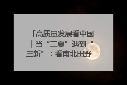 高质量发展看中国｜当“三夏”遇到“三新”：看南北田野里的科技共生记
