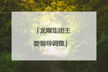 龙煤集团主要领导调整
