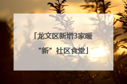 龙文区新增3家暖“新”社区食堂
