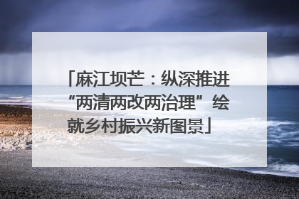麻江坝芒：纵深推进“两清两改两治理”绘就乡村振兴新图景