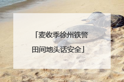 麦收季徐州铁警田间地头话安全