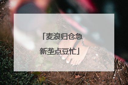 麦浪归仓急 新垄点豆忙