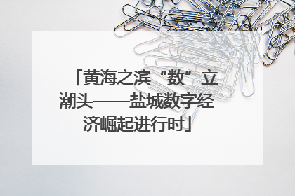 黄海之滨“数”立潮头——盐城数字经济崛起进行时