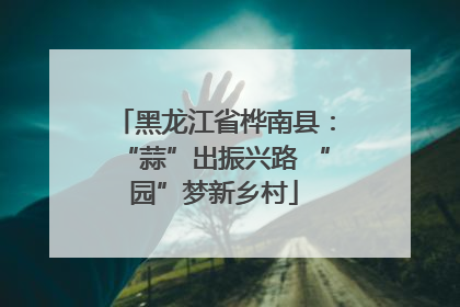 黑龙江省桦南县：“蒜”出振兴路 “园”梦新乡村