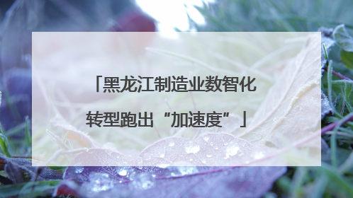 黑龙江制造业数智化转型跑出“加速度”