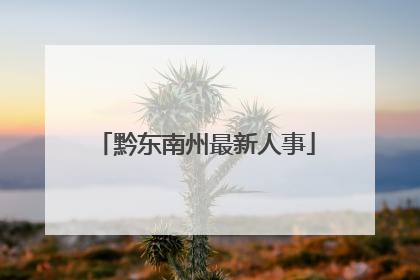 黔东南州最新人事