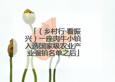 （乡村行·看振兴）一座肉牛小镇入选国家级农业产业强镇名单之后