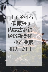 （乡村行·看振兴）内蒙古乡镇经济新变化：小产业累积大民生