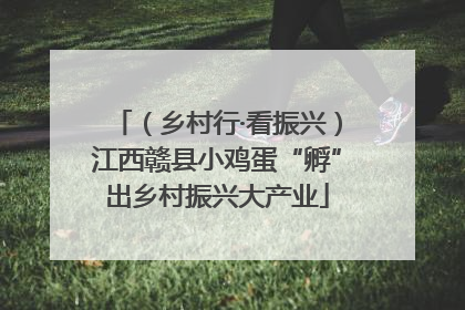 （乡村行·看振兴）江西赣县小鸡蛋“孵”出乡村振兴大产业