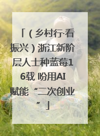 （乡村行·看振兴）浙江新阶层人士种蓝莓16载 盼用AI赋能“二次创业”