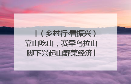 （乡村行·看振兴）靠山吃山，赛罕乌拉山脚下兴起山野菜经济