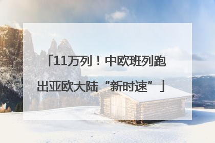 11万列！中欧班列跑出亚欧大陆“新时速”