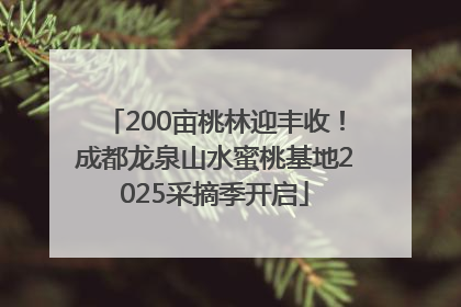 200亩桃林迎丰收！成都龙泉山水蜜桃基地2025采摘季开启