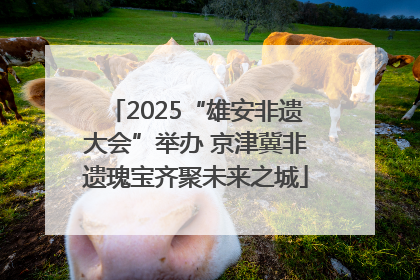 2025“雄安非遗大会”举办 京津冀非遗瑰宝齐聚未来之城