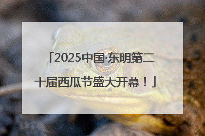 2025中国·东明第二十届西瓜节盛大开幕！