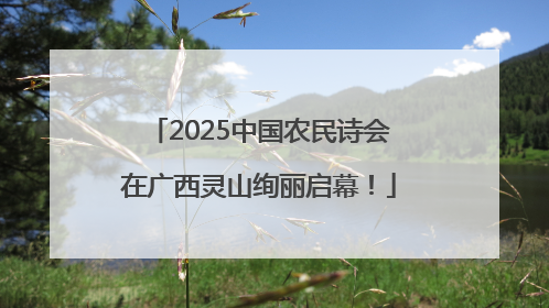 2025中国农民诗会在广西灵山绚丽启幕！
