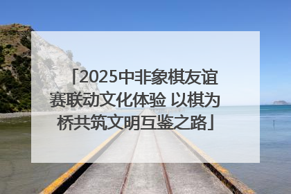 2025中非象棋友谊赛联动文化体验 以棋为桥共筑文明互鉴之路