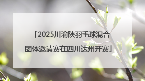 2025川渝陕羽毛球混合团体邀请赛在四川达州开赛