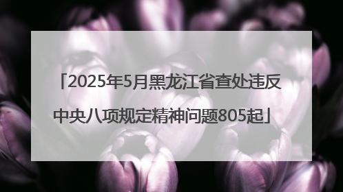 2025年5月黑龙江省查处违反中央八项规定精神问题805起