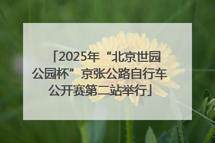 2025年“北京世园公园杯”京张公路自行车公开赛第二站举行