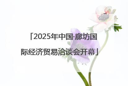 2025年中国·廊坊国际经济贸易洽谈会开幕